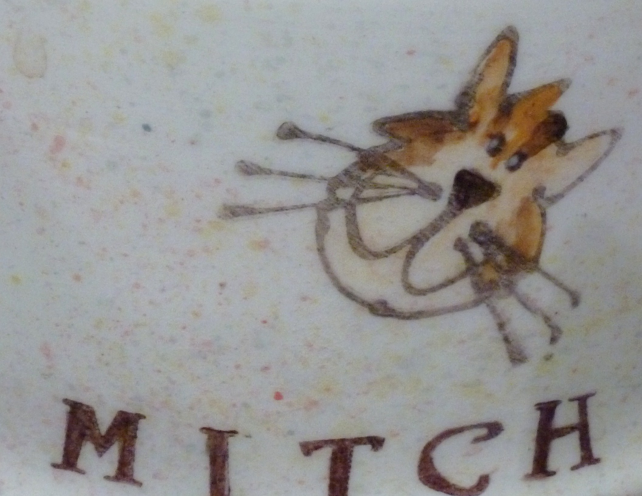 Dog or cat bowl with personalisation